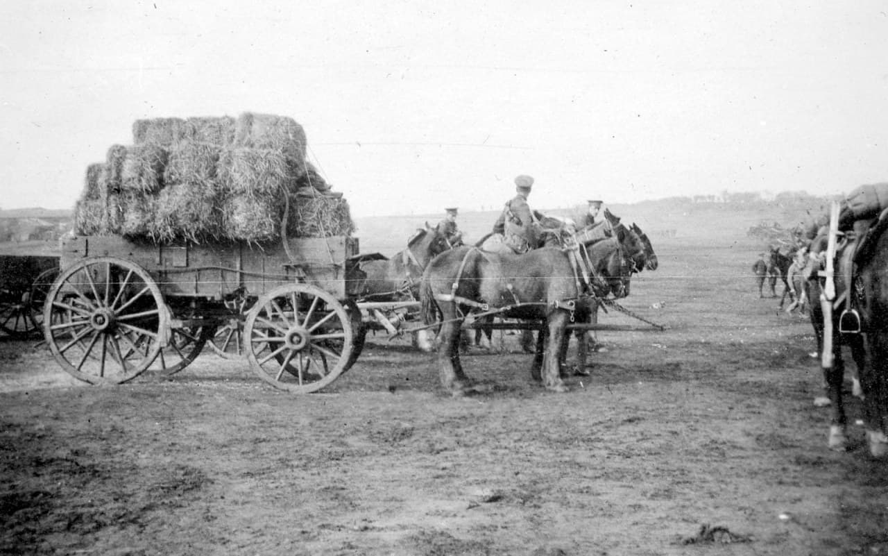 24.-Horses-and-Wagon-Witley-Camp-June-1916