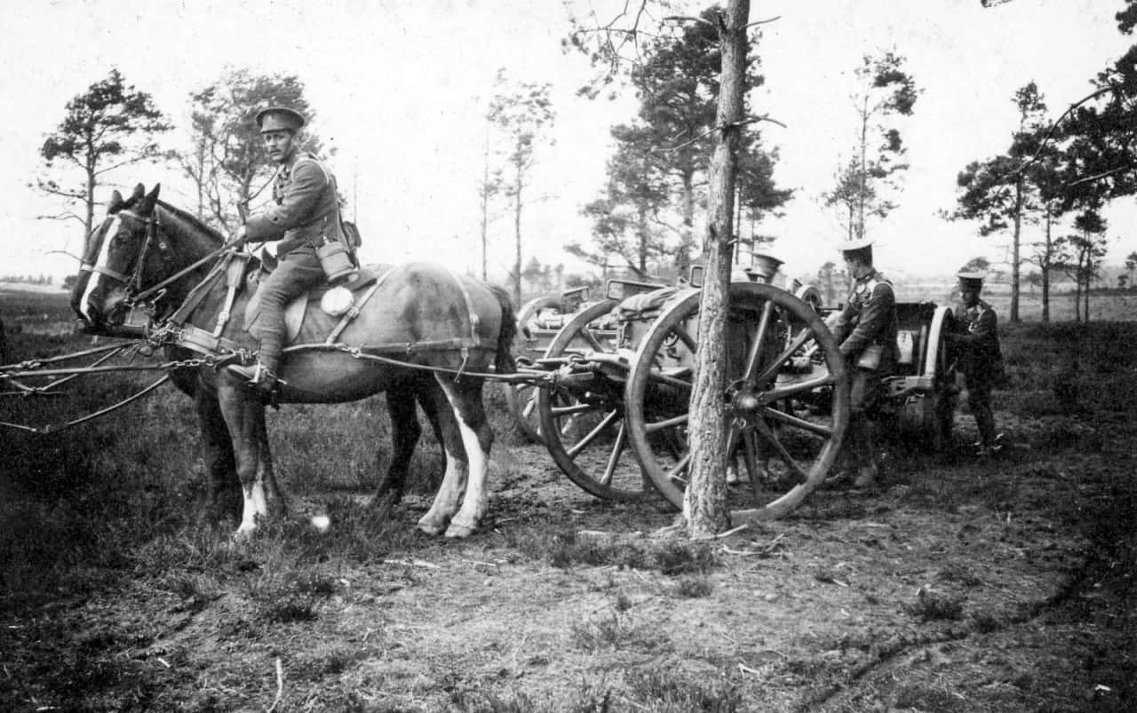 31.-Horses-Limber-18-Pounder-June-1916